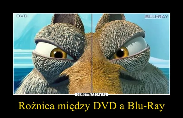 Zdjęcie Najważniejsze różnice między DVD a Blu-ray - poznaj szczegóły porównania