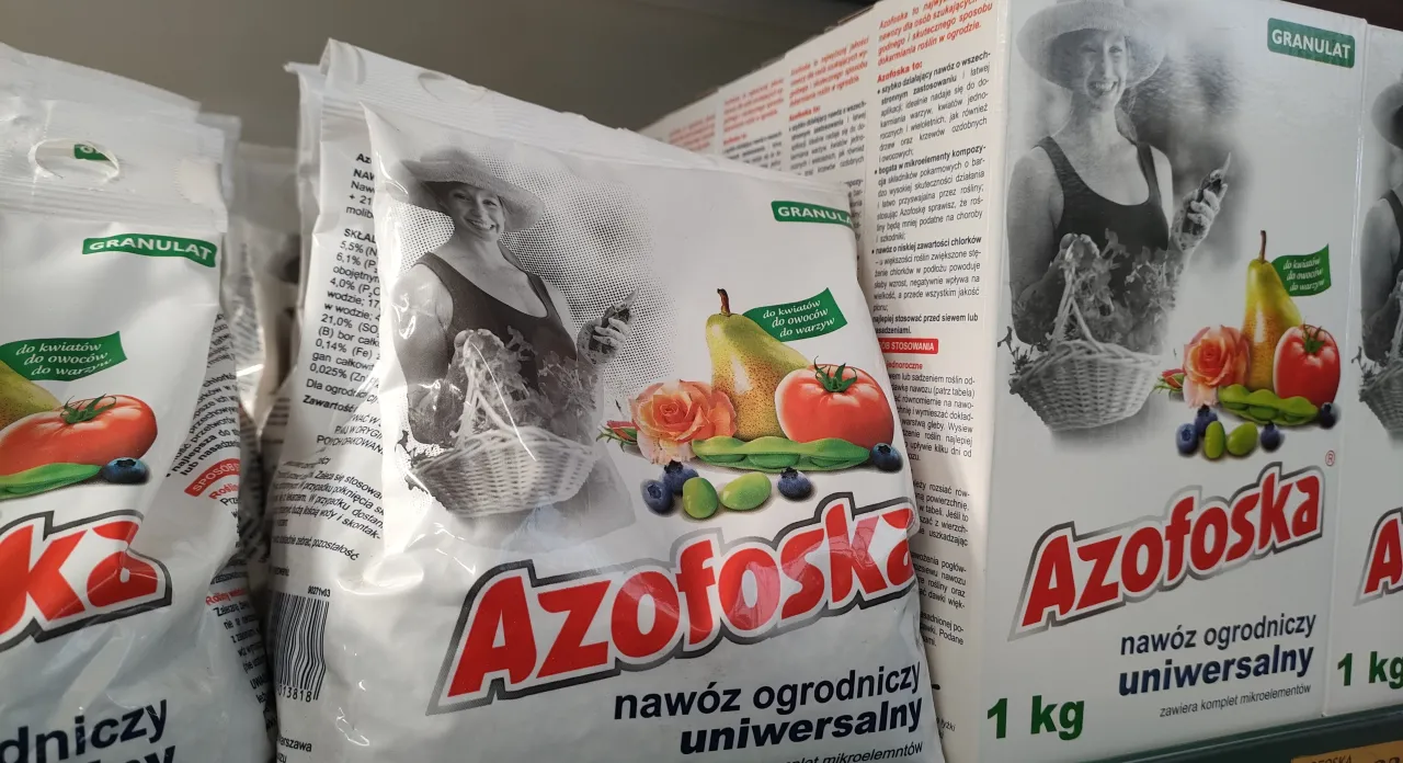 Zdjęcie Kiedy stosować nawóz azofoska? Kluczowe wskazówki dla ogrodników