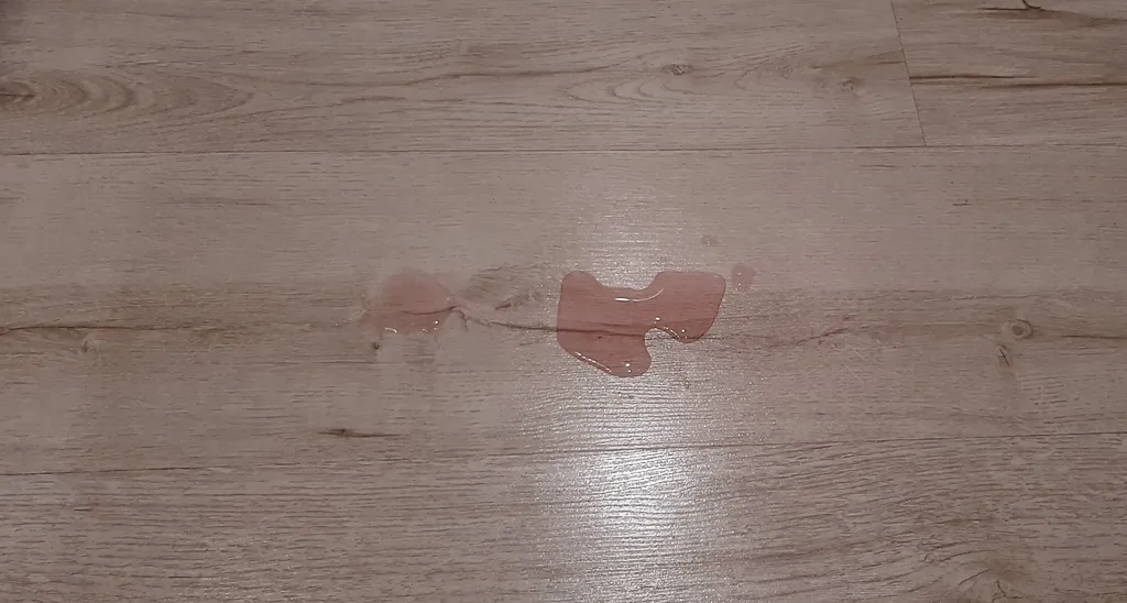 Zdjęcie Jak wysuszyć panele podłogowe po zalaniu, unikaj kosztownych uszkodzeń!