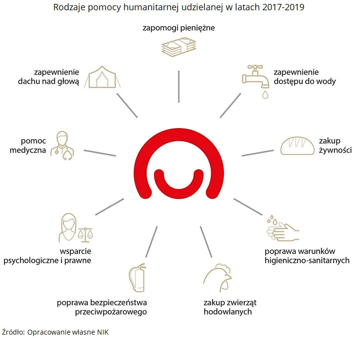 Zdjęcie Polskie organizacje humanitarne: poznaj najważniejsze fundacje