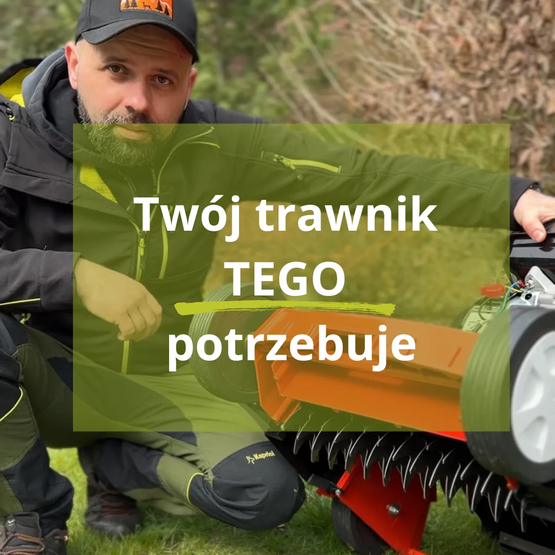 Zdjęcie Wertykulacja trawnika kiedy: uniknij błędów i zyskaj piękny trawnik