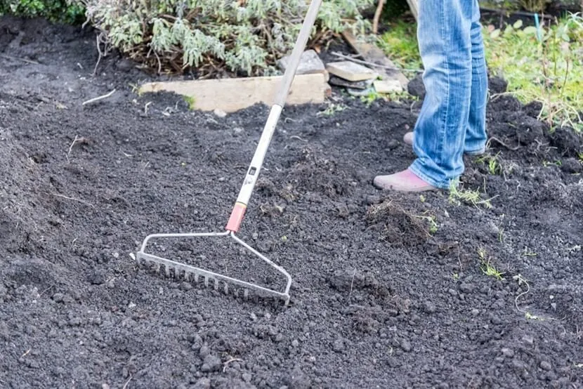 Zdjęcie Jak łatwo wyrównać trawnik i uniknąć nierówności – praktyczne porady krok po kroku