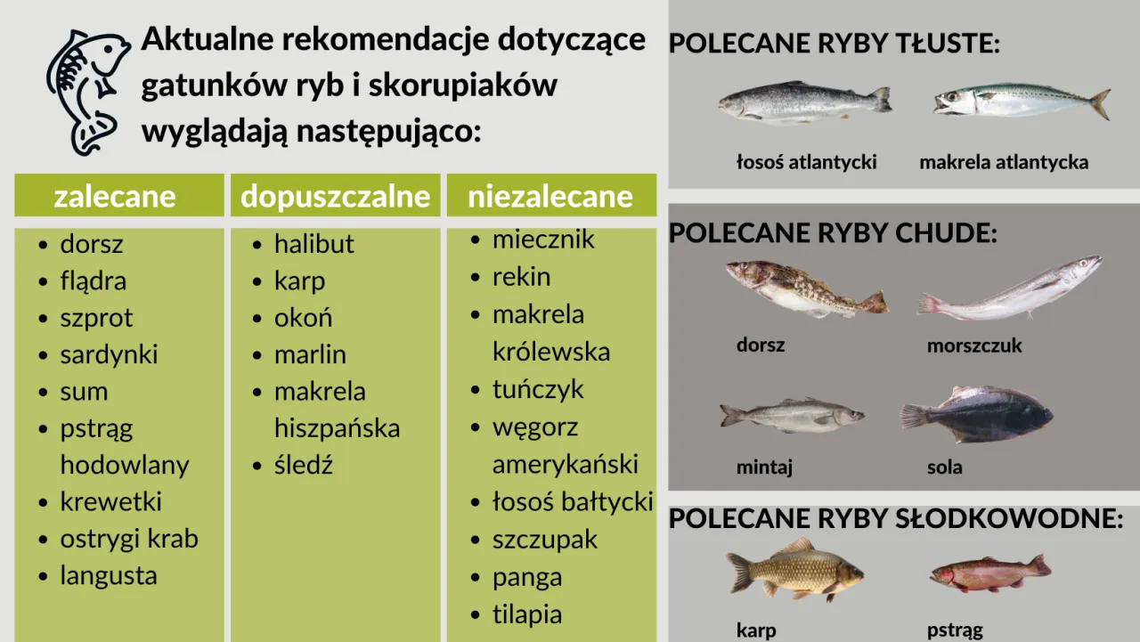 Zdjęcie Jaka ryba dla niemowląt? Bezpieczne i zdrowe wybory dla malucha