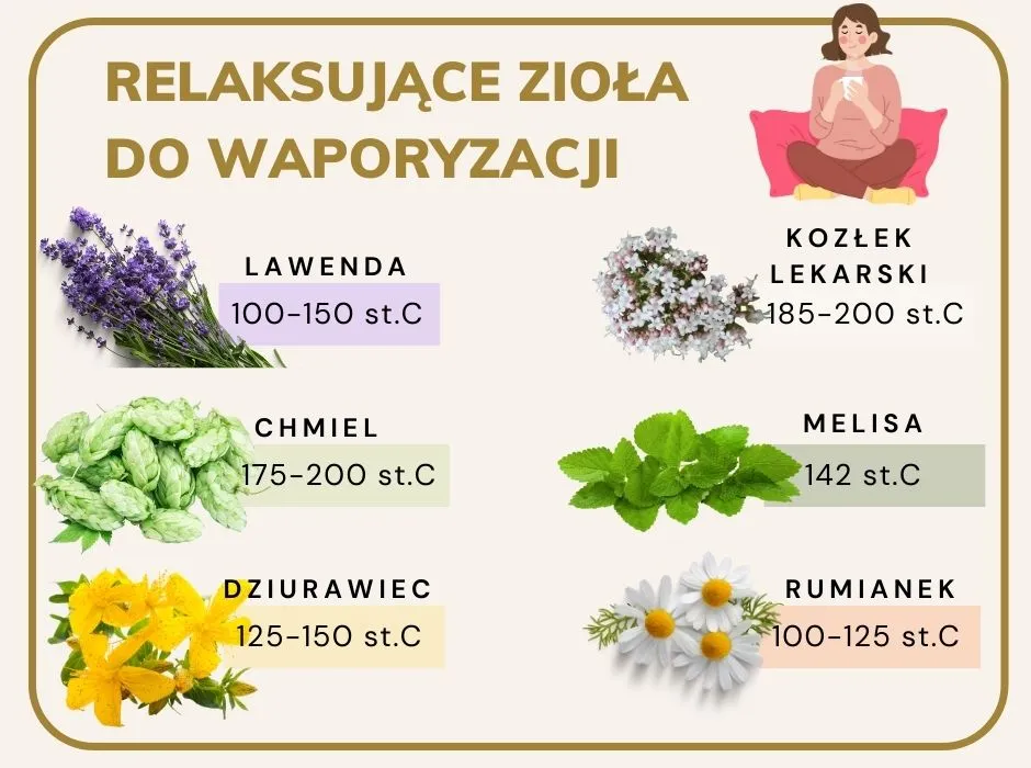 Zdjęcie Czy waporyzacja ziół jest zdrowa? Korzyści, zagrożenia i fakty naukowe