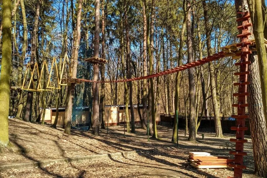 Zdjęcie Park linowy Szczecin - atrakcje, trasy i ceny dla całej rodziny