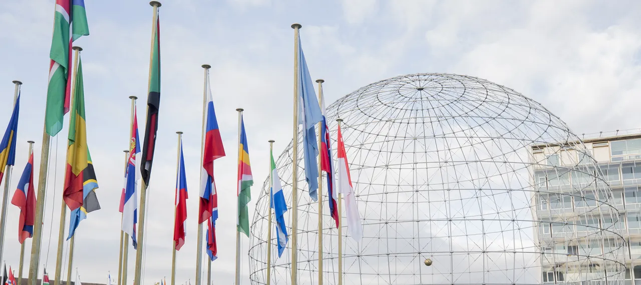Zdjęcie UNESCO - poznaj najważniejsze zadania i działania tej organizacji na świecie