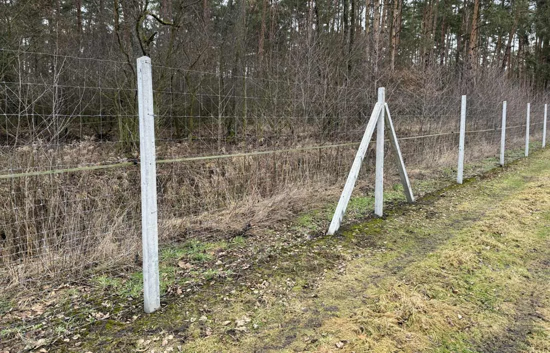Zdjęcie Ogrodzenie z siatki leśnej: jak prawidłowo rozstawić słupki?