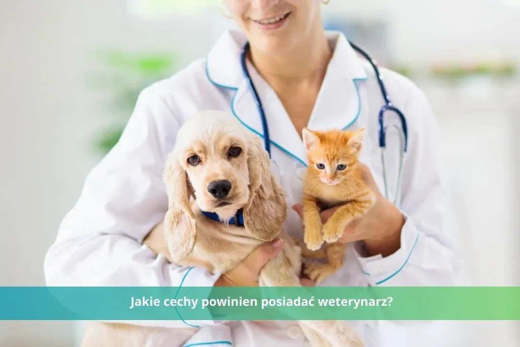 Zdjęcie Czym zajmuje się weterynarz i jak dba o zdrowie zwierząt?