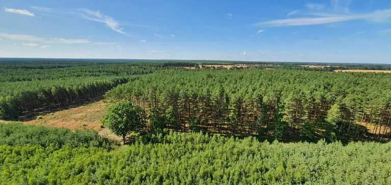 Zdjęcie Trasa rowerowa Nowa Sól - malownicze ścieżki i atrakcje do odkrycia