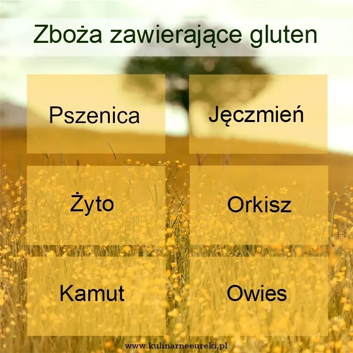 Zdjęcie Jakie zboża nie mają glutenu? Poznaj zdrowe alternatywy dla diety