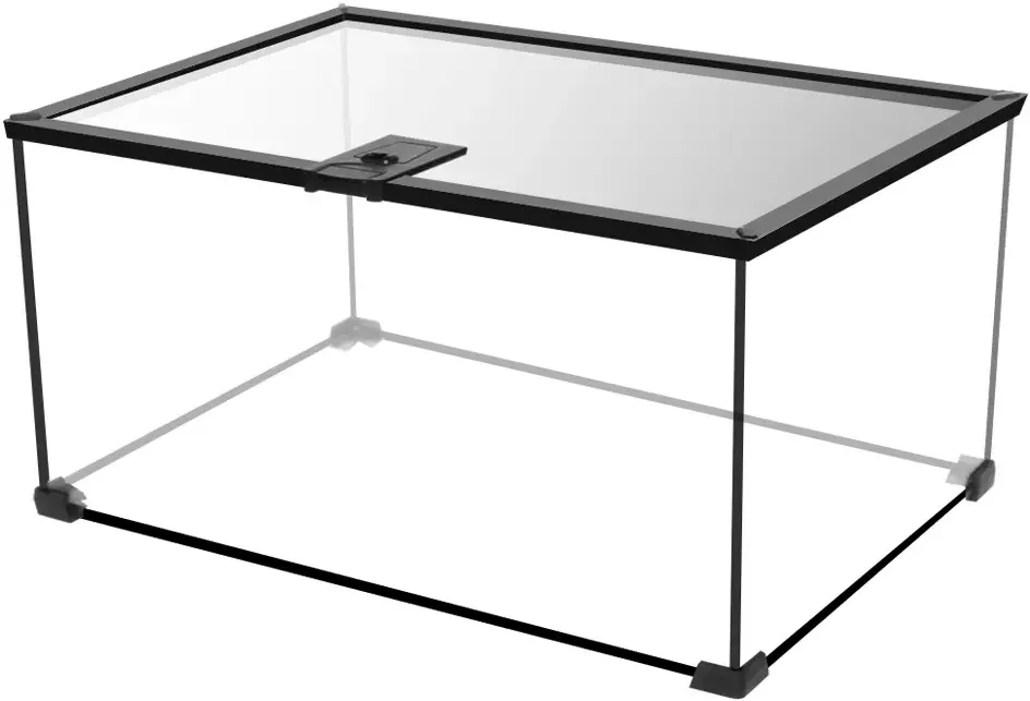 Zdjęcie Gdzie kupić terrarium? Najlepsze miejsca i oferty w Polsce