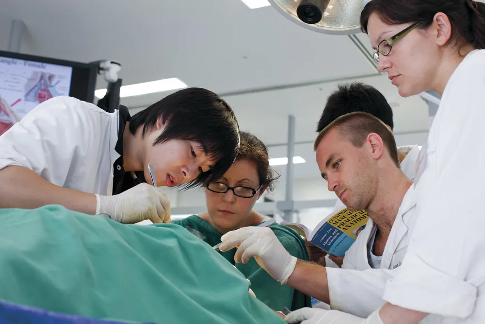 Zdjęcie Ile trwają studia medyczne w Polsce? Sprawdź, co musisz wiedzieć