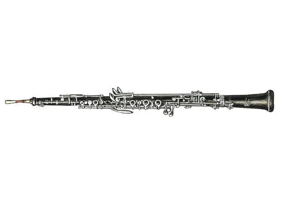 Zdjęcie Obój - Budowa, Rodzaje i Historia Instrumentu