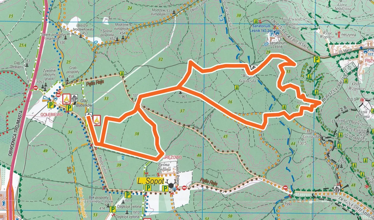 Zdjęcie Gdzie biegać w Gdańsku? Odkryj najlepsze trasy biegowe w Trójmieście