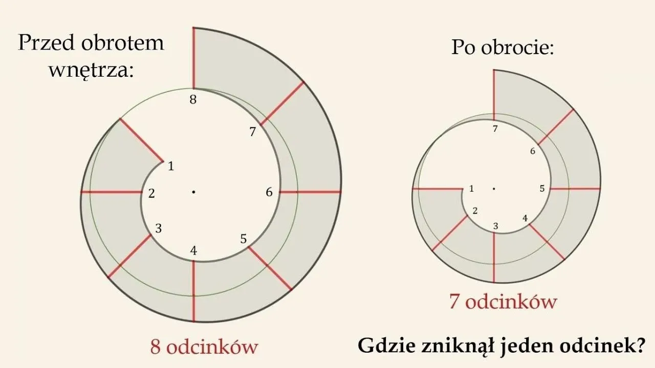 Zdjęcie Zagadka o ślimaku: odkryj tajemnice matematycznych łamigłówek