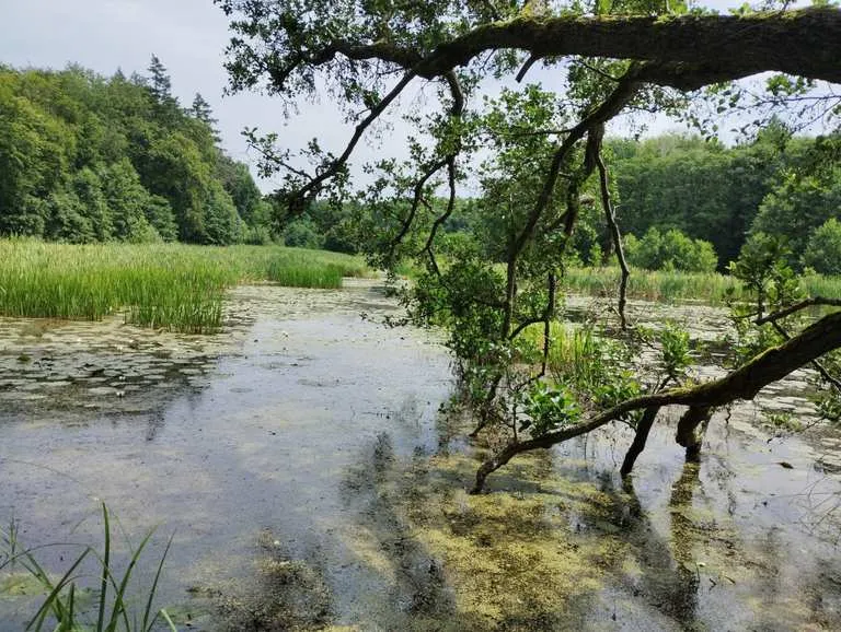 Zdjęcie Ustronie Morskie trasy rowerowe mapa – odkryj najlepsze szlaki