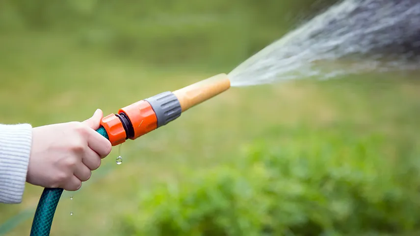 Zdjęcie Pompa do zraszaczy: Jak wybrać idealną? Poradnik krok po kroku