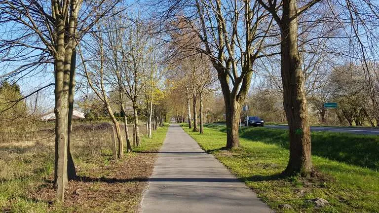 Zdjęcie Trasy rowerowe Koszalin: Odkryj najlepsze szlaki i uniknij nudy