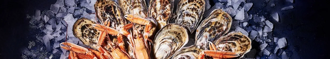 Zdjęcie Plateaux de fruits de mer traiteur : options, prix et qualité à connaître