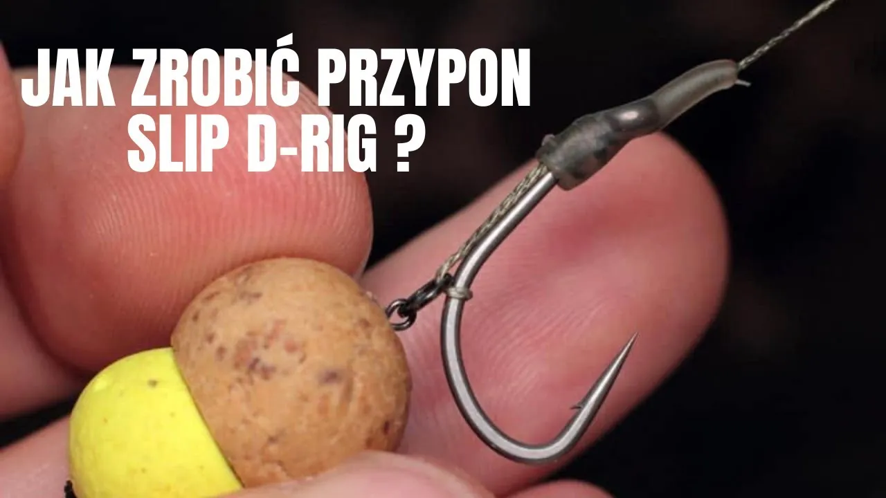 Zdjęcie Najlepsza plecionka na przypon karpiowy - unikaj najczęstszych błędów