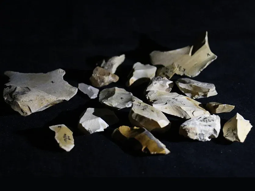 Zdjęcie Kto odkrył ogień? Niezwykła historia i rola Homo erectus