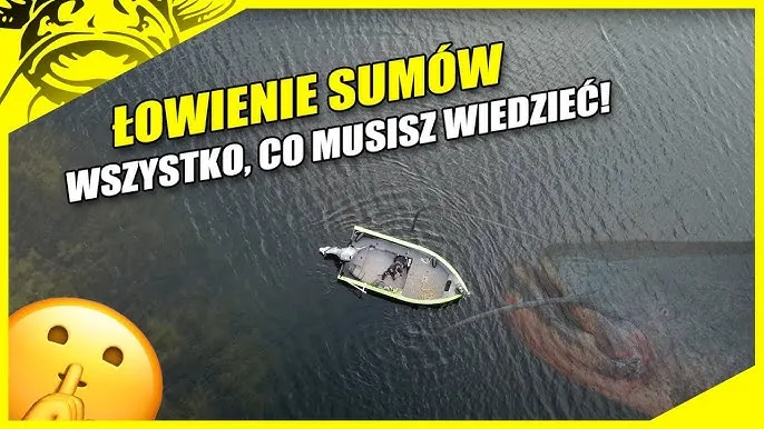 Zdjęcie Wody sumowskie Szczecin: jak skutecznie łowić sumy i unikać błędów