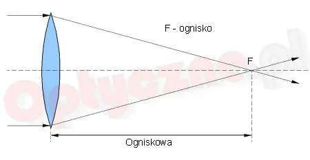 Zdjęcie Co to jest ogniskowa soczewki i jak wpływa na jakość zdjęć? Proste wyjaśnienie