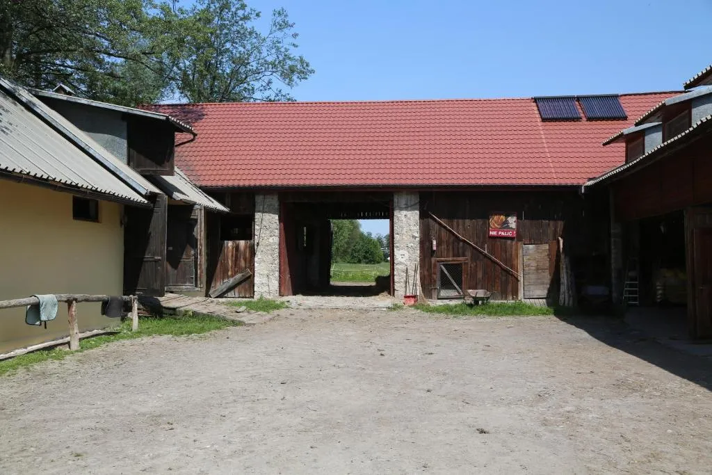 Zdjęcie Stadnina koni Michałowice - odkryj wyjątkowe usługi i atrakcje