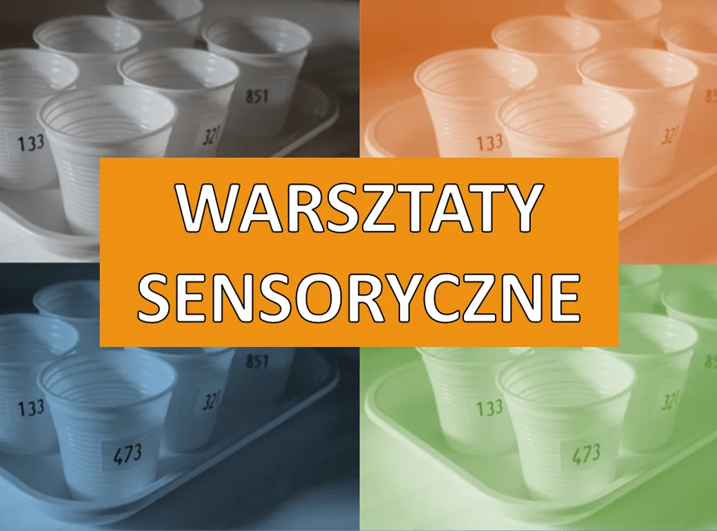 Zdjęcie Skuteczne szkolenia sensoryczne dla dzieci i analizy sensorycznej