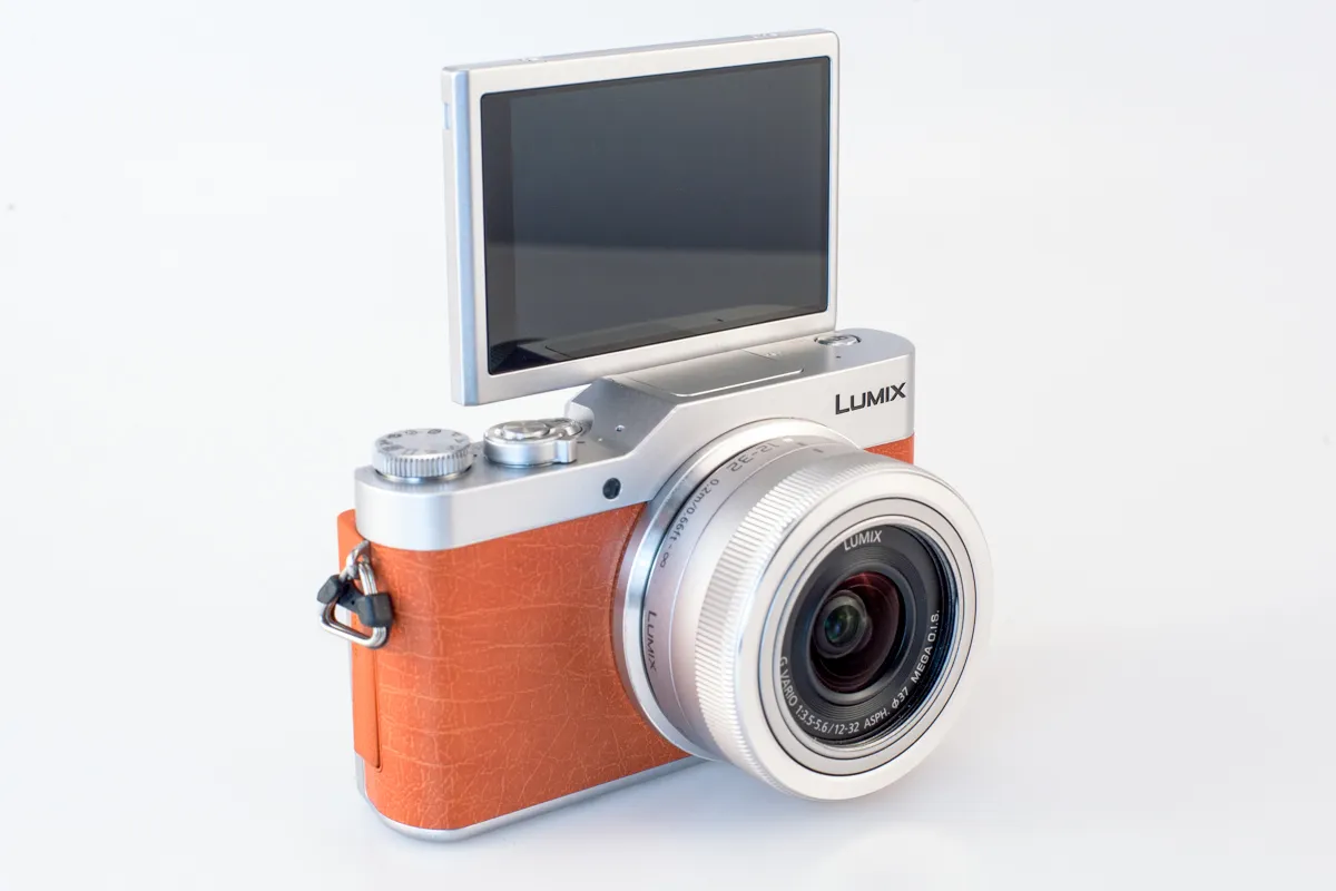 Zdjęcie Lumix GX1 vs Lumix GX800 - porównanie aparatów Panasonic Lumix 