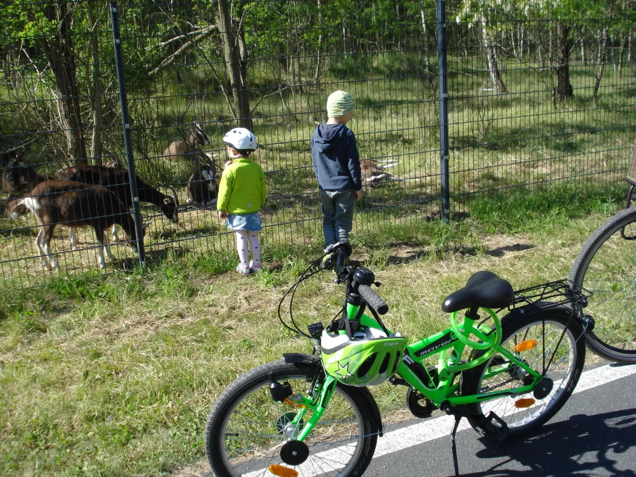 Zdjęcie Trasa rowerowa wokół Berzdorfer See - odkryj piękne widoki i atrakcje