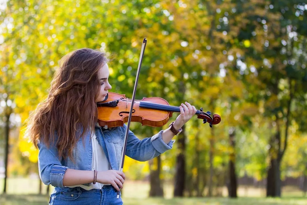 Zdjęcie Czym się różni altówka od skrzypiec? Kluczowe różnice, które musisz znać