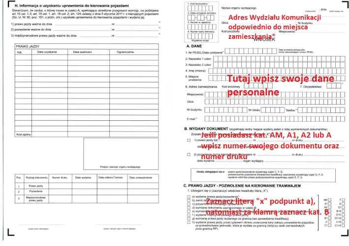 Zdjęcie Jak uniknąć błędów i szybko wypełnić wniosek o profil kierowcy krok po kroku