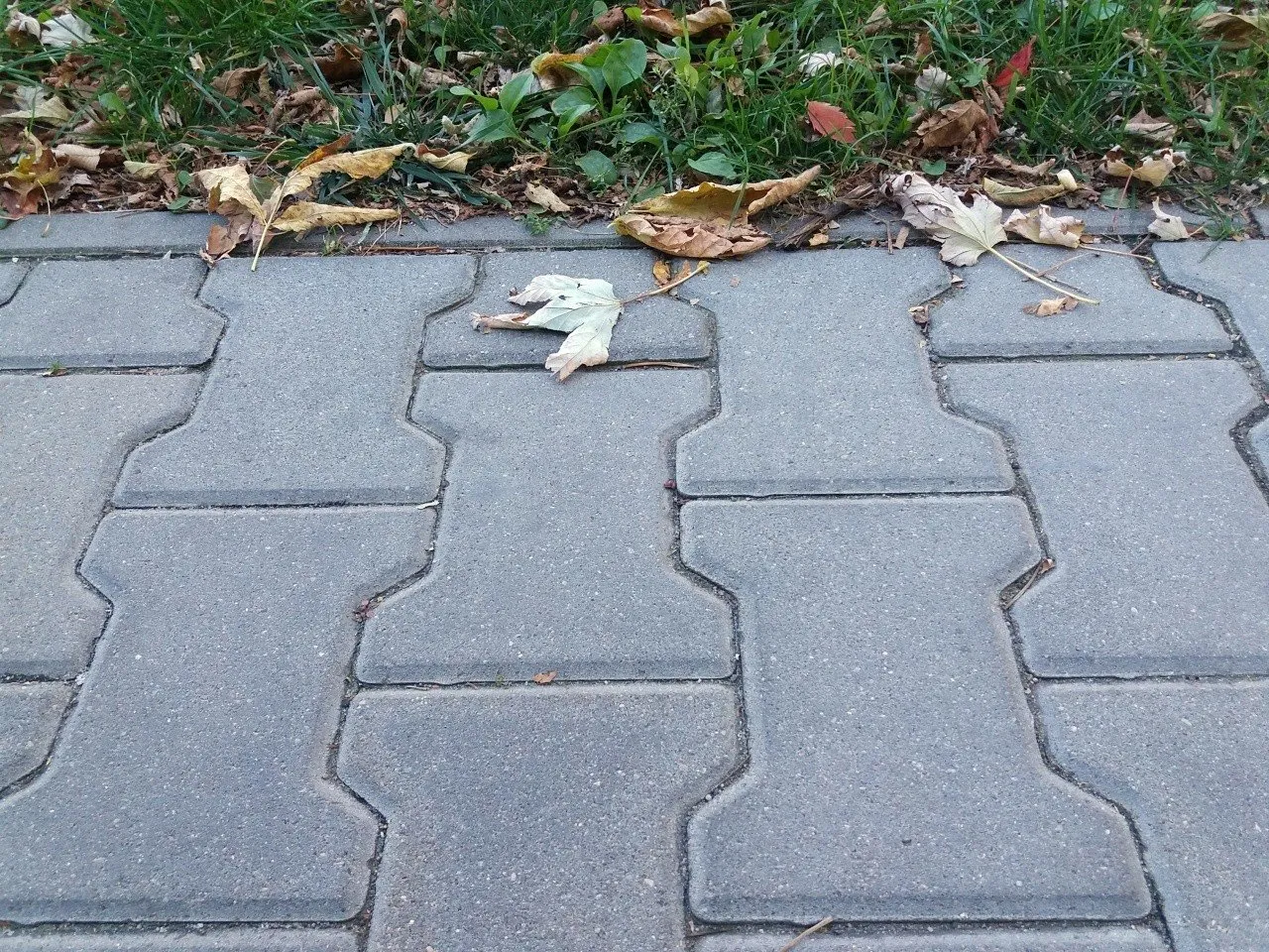 Zdjęcie Malowanie kostki brukowej czy warto? Poznaj zalety i wady tej metody