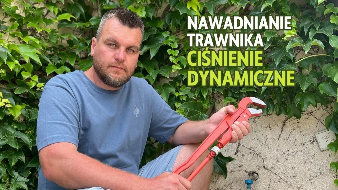 Zdjęcie Jakie ciśnienie wody do zraszaczy? Uniknij błędów w nawadnianiu