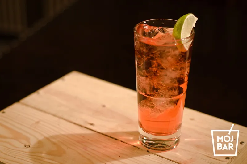 Zdjęcie Jak przygotować idealny gin pink drink – przepis i porady
