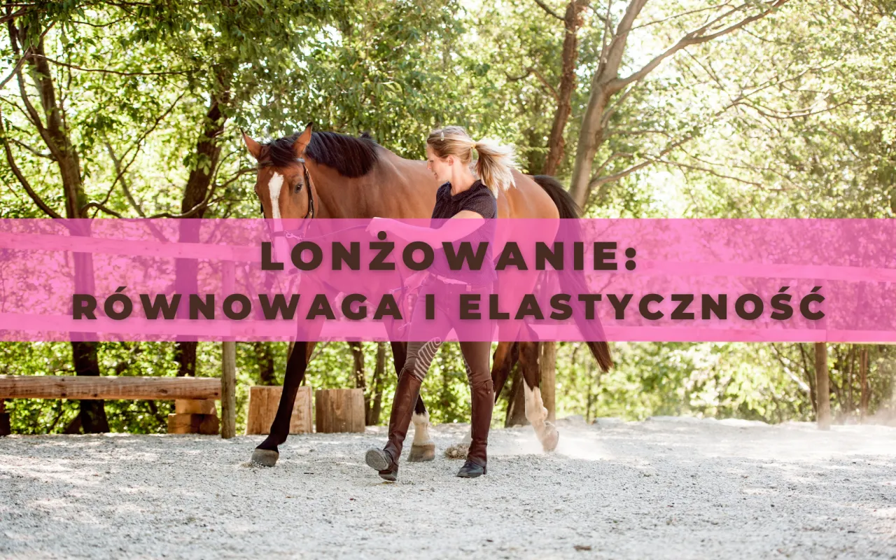 Zdjęcie Towarzystwo jeździectwa naturalnego: klucz do zrozumienia koni