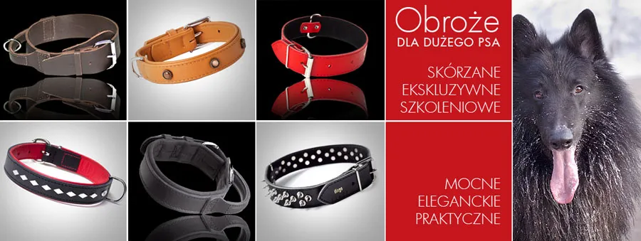 Zdjęcie Najlepsza obroża dla owczarka niemieckiego – wybierz mądrze dla swojego psa