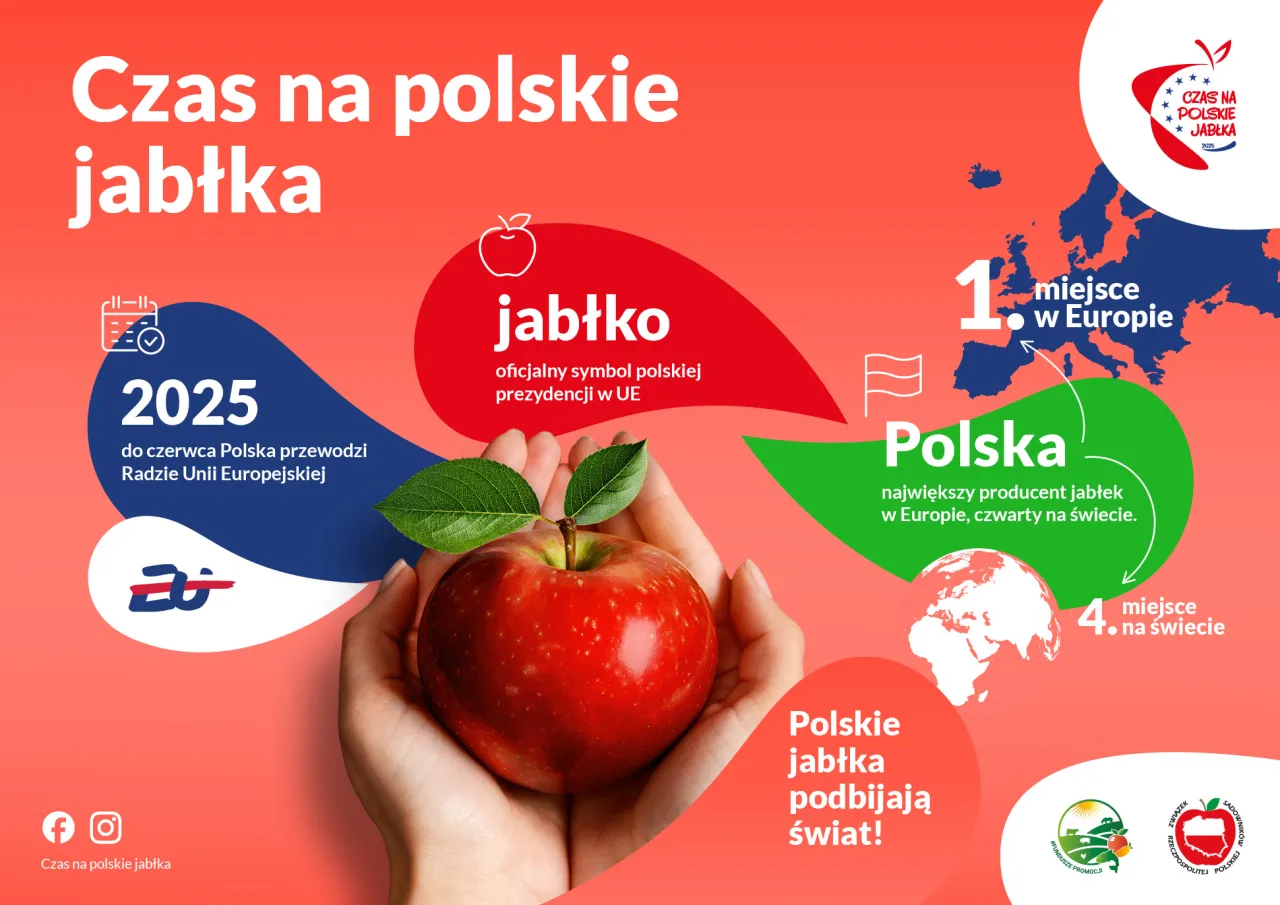 Zdjęcie Kiedy jest sezon na jabłka w Polsce? Odkryj najlepszy czas na zakupy