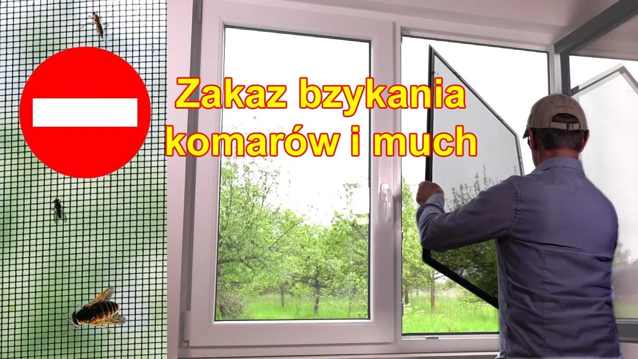 Zdjęcie Jak dobrze założyć moskitierę na okno - uniknij najczęstszych błędów