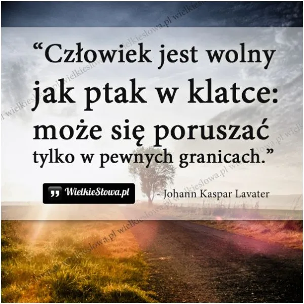 Zdjęcie Cytaty o wolności: wolny jak ptak i jego ograniczenia w życiu