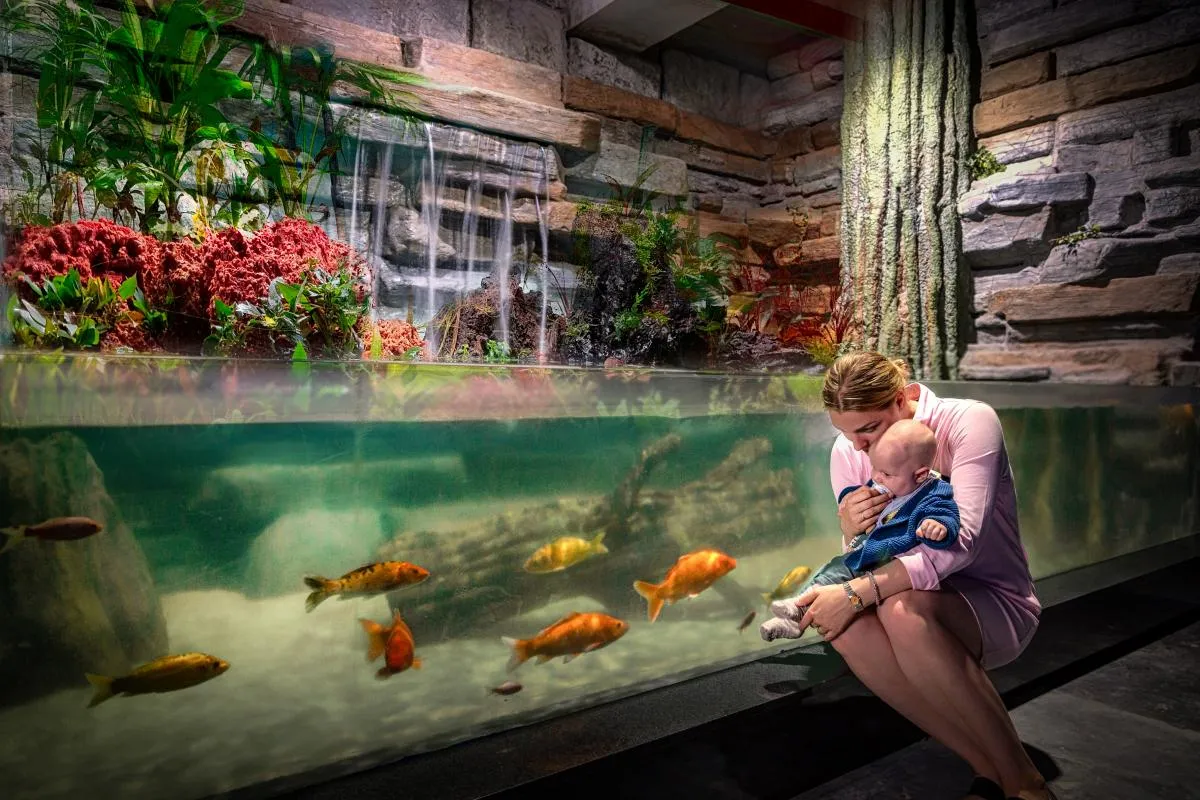 Zdjęcie Oceanarium Zachodniopomorskie - Niezapomniane atrakcje w Międzyzdrojach