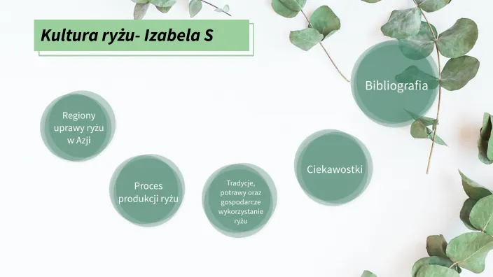 Zdjęcie Kultura ryżu: kluczowe techniki uprawy i ich znaczenie dla świata