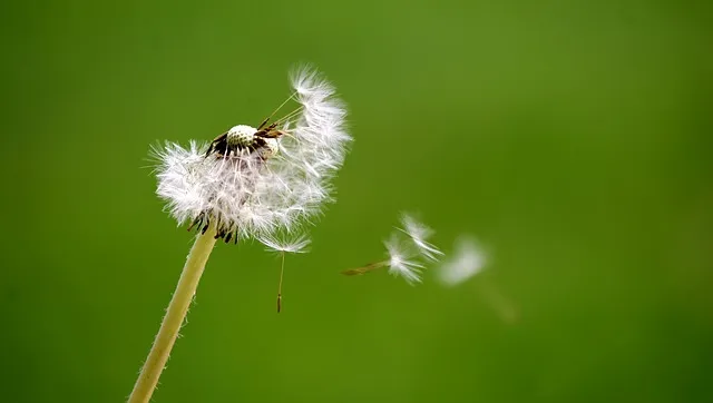 Zdjęcie Jak dmuchać balony: proste metody, które ułatwią każdą imprezę