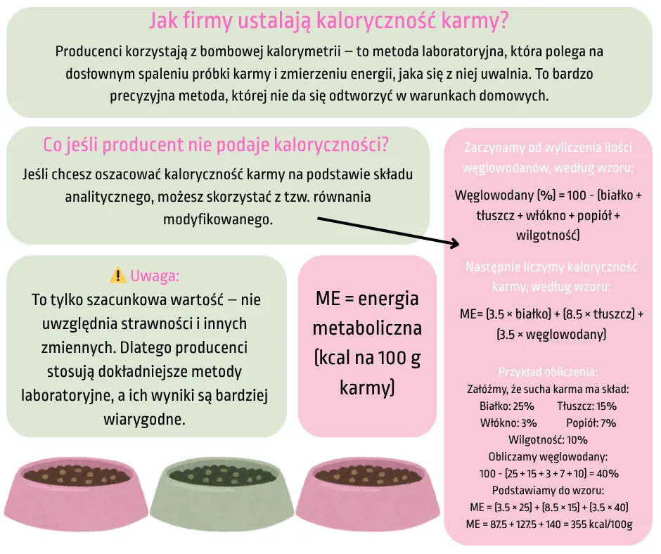 Zdjęcie Ile mokrej karmy dla psa tabela - uniknij błędów w karmieniu psa