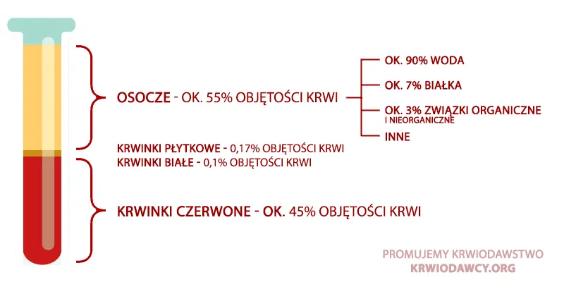 Zdjęcie Ile krwi ma przeciętna kaczka domowa: fakty, dane i różnice między rasami