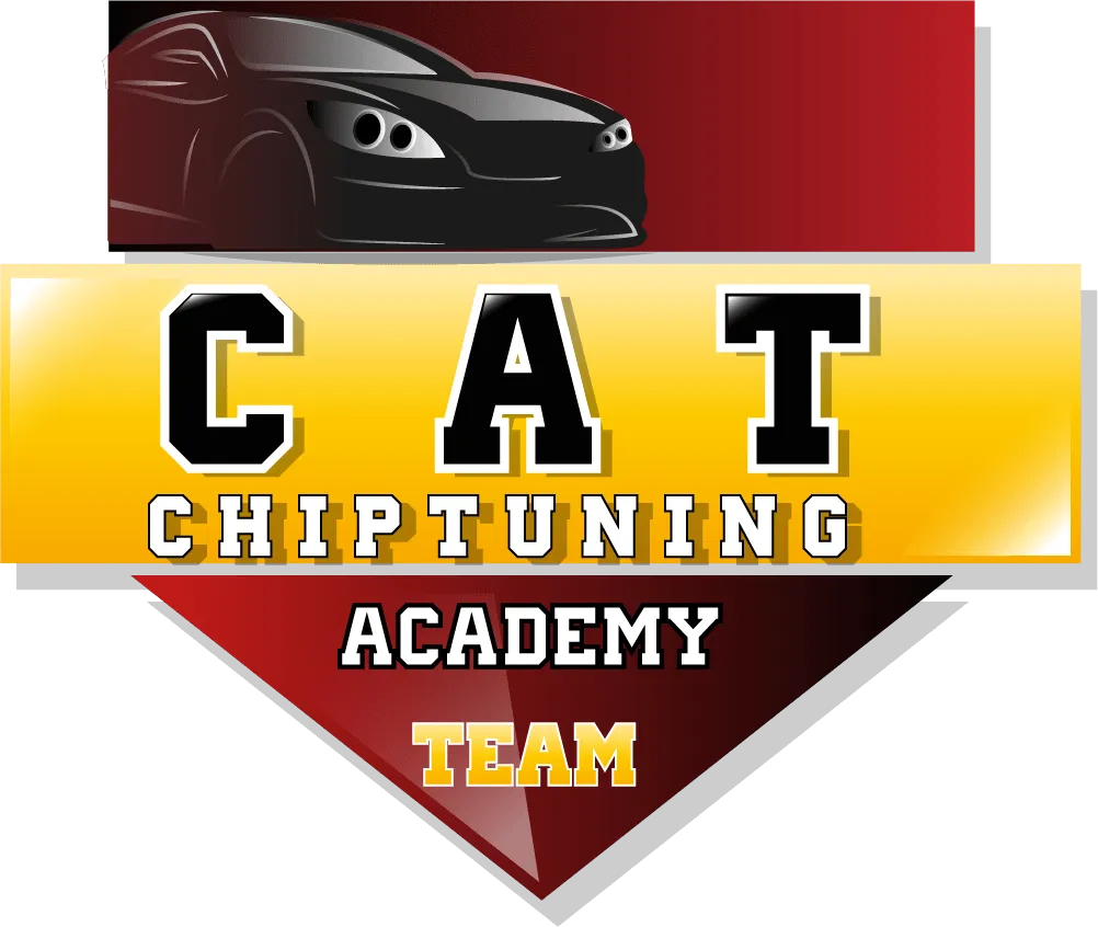 Zdjęcie Jak skutecznie nauczyć się chip tuningu i unikać najczęstszych błędów