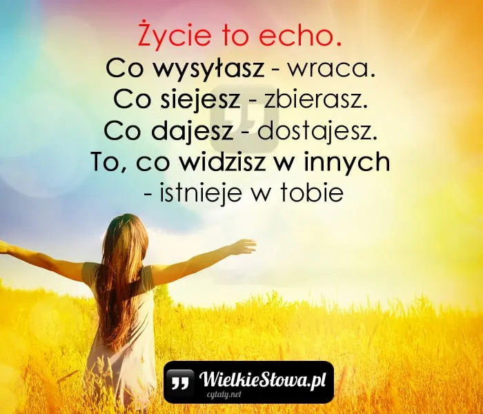 Zdjęcie Cytaty o co siejesz to zbierasz - mądre słowa na życie i inspirację