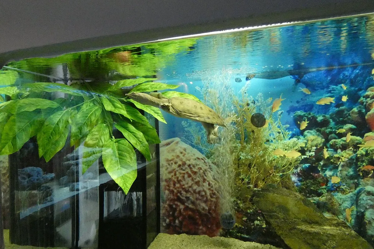 Zdjęcie Oceanarium Łeba opinie - co mówią odwiedzający o tej atrakcji?