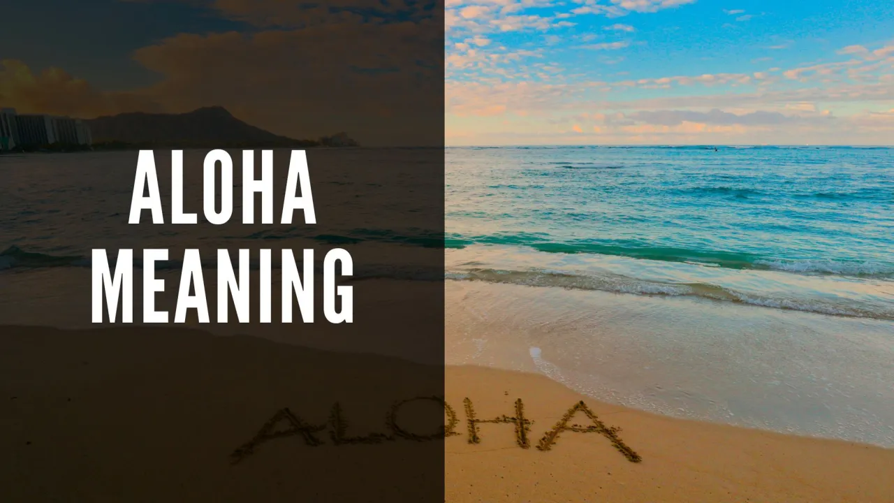 Zdjęcie Aloha - co to znaczy po polsku? Poznaj hawajskie powitanie